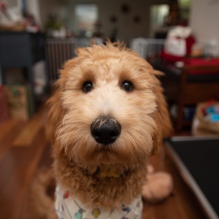 2022-12-25 09.56.02.jpg